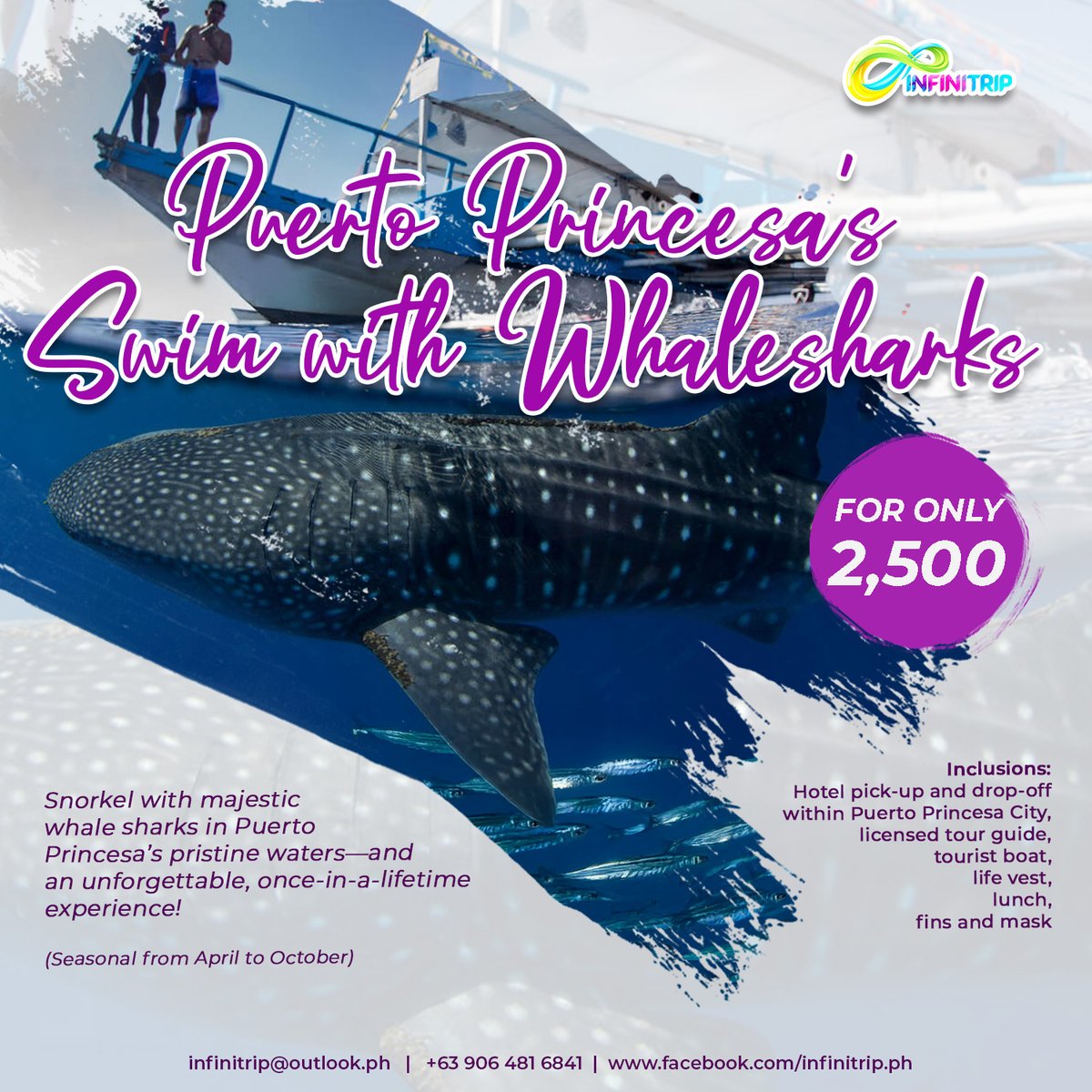 infinitripPH's tweet photo. PUERTO PRINCESA ADVENTURES 🐬✨
Experience:
🐬 Dolphin Watching
✨ Firefly Watching
🌌 Underground River
🦈 Swim with Whale Shark
📧 infinitrip@outlook.ph
📱 +63 906 481 6841
#PuertoPrincesa #Palawan #Infinitrip #TravelPhilippines https://t.co/f22H48zZHP