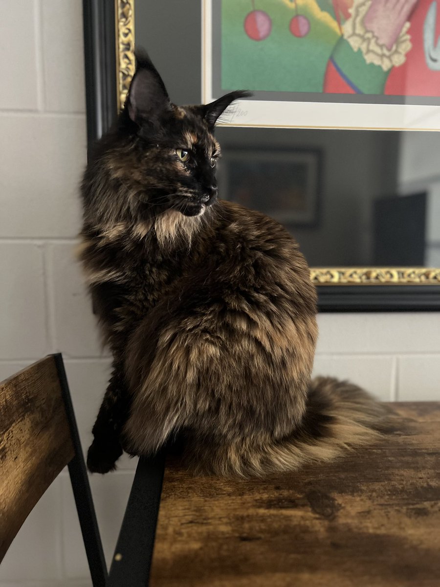 BrandonSpikes55 tweet media