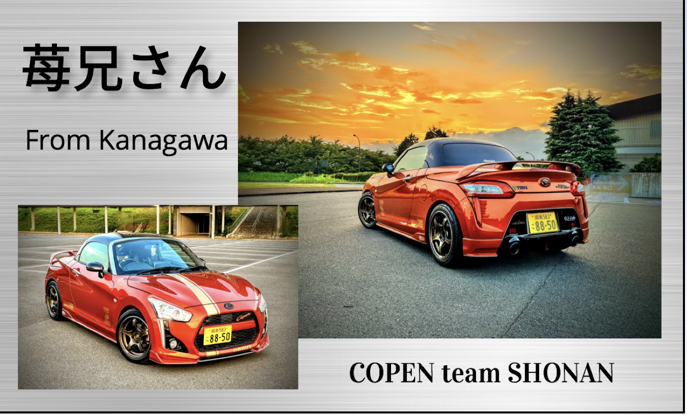 いちご様連絡ページ LIXIL トステム 引戸錠 戸先ケース（ラッチ無し）1個 戸先に