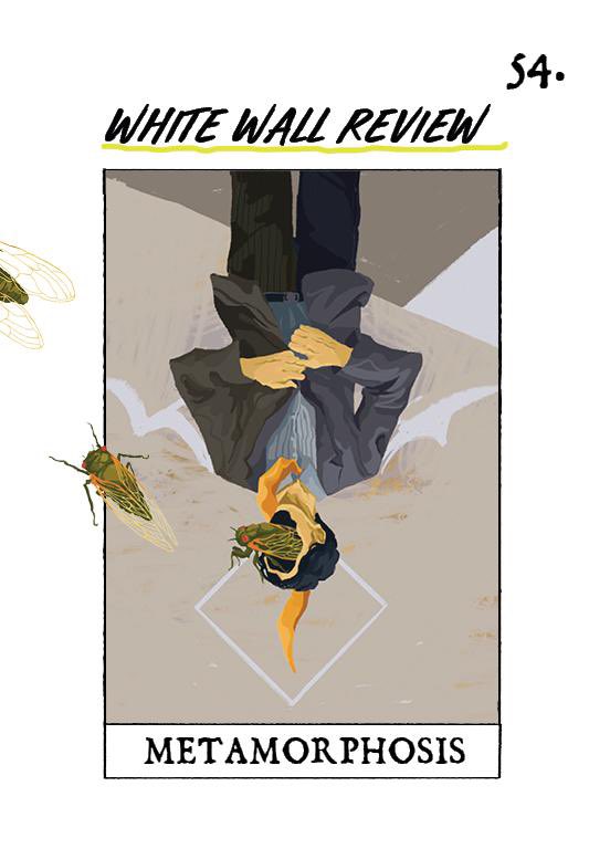 white wall review tweet media