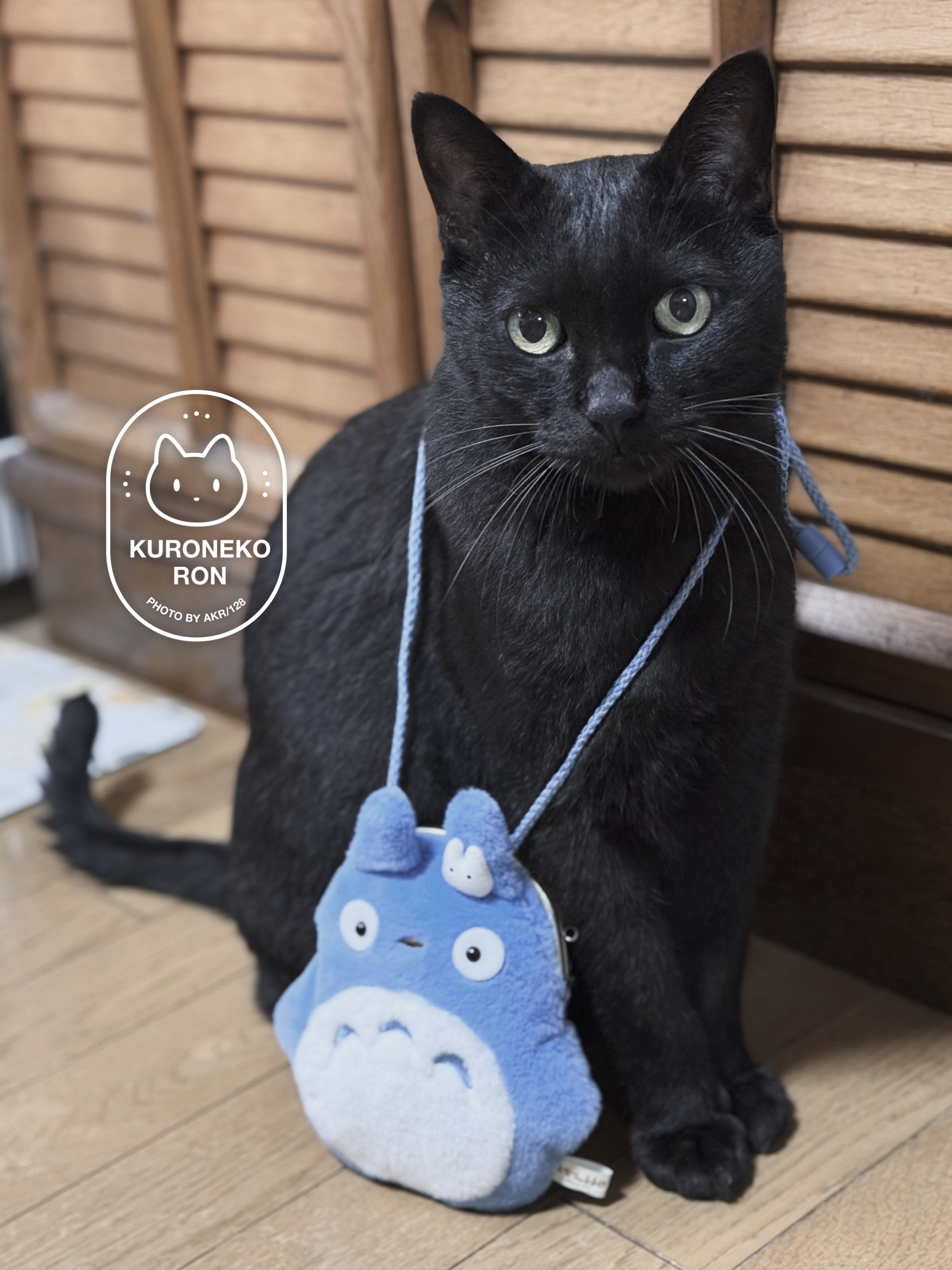 rikuページ♡新規様リクエスト　猫様　猫オブジェ AKR｜7巻でたよ on X: 