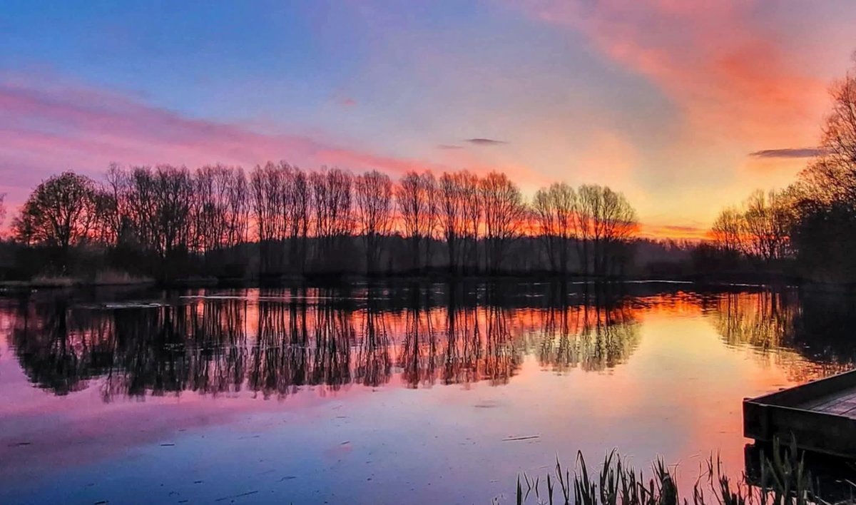 Nature and Weather Freak tweet media