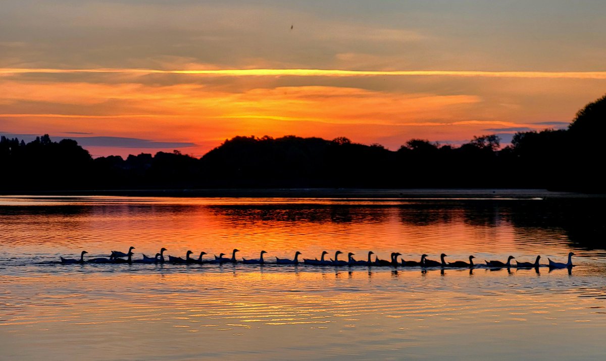 Nature and Weather Freak tweet media