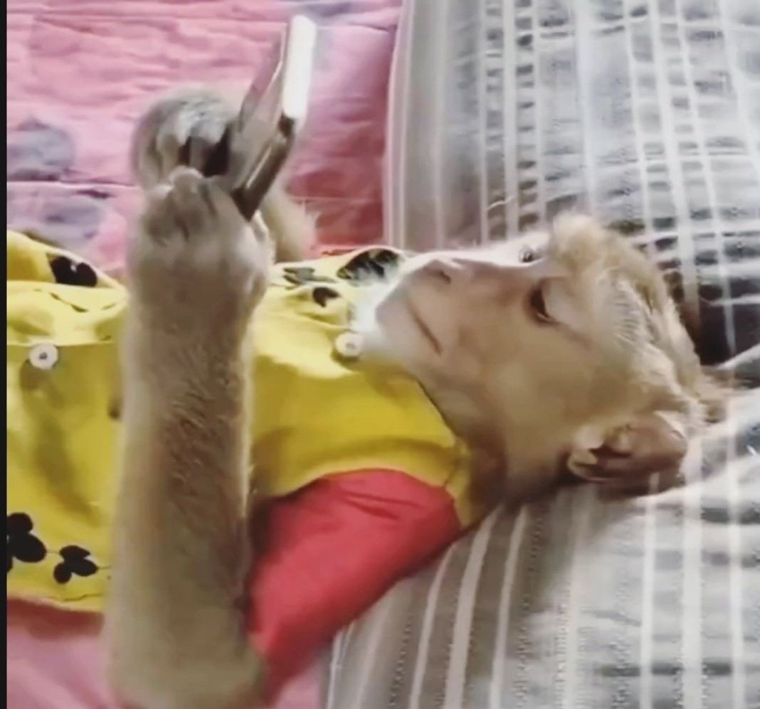 aile evine gelir gelmez aksama kadar bizim mesai