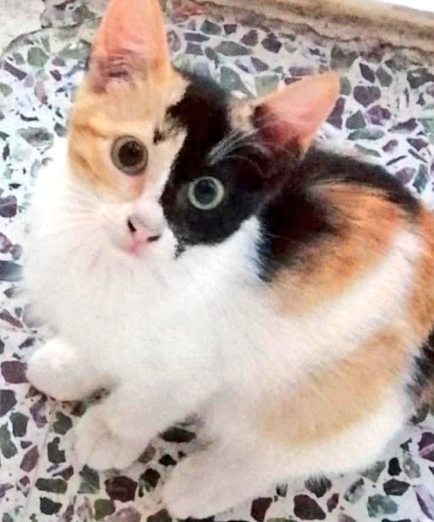 #παγκοσμια_ημερα_φωτογραφιας
Τσα ....σε έπιασα μπουκίτσα 🧡