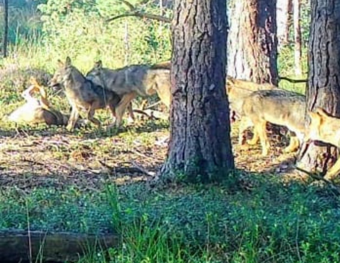 Egbert Post tweet media