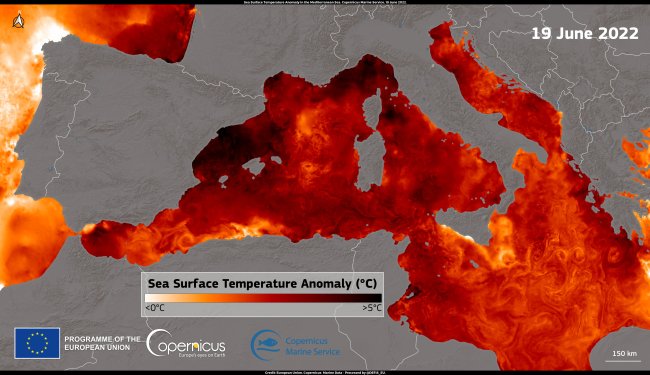 En el #verano2025 aconteció una de las peores olas de calor marinas que se recuerdan en el Mediterráneo. 🌊🥵

¿Qué las provoca? 🤔
Dentro 🧵
