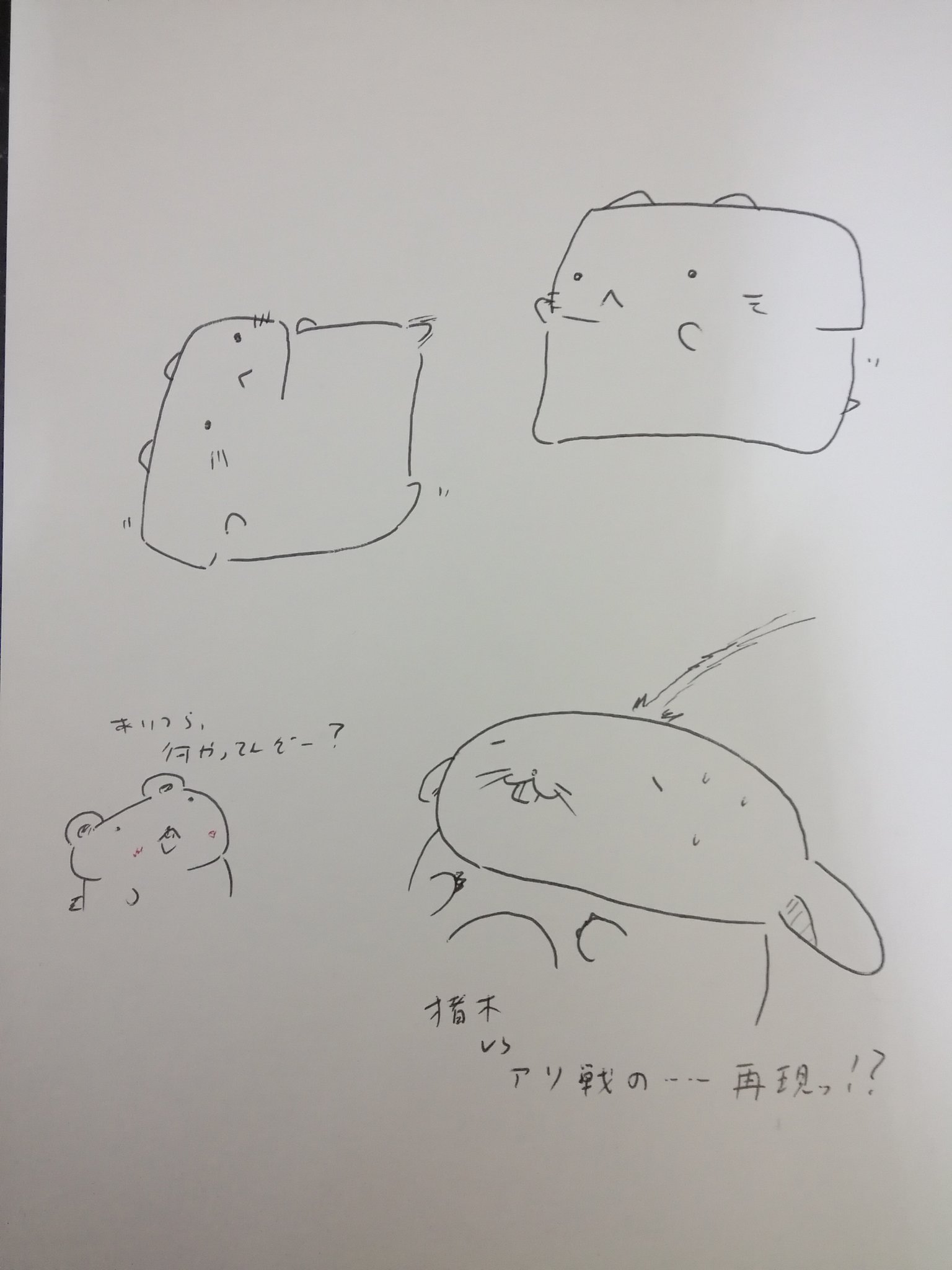 チンチラ プロフ必読‼️です❣️ うにうに論者 on X: 