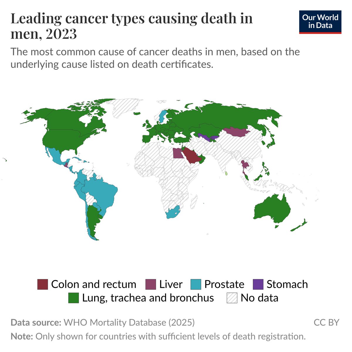 What types of cancers cause the most deaths in each country?
How does this compare between women and men?

Our senior data scientist, Fiona Spooner, just updated these maps and many other charts on our site, with the latest data from the WHO's World Mortality Database.