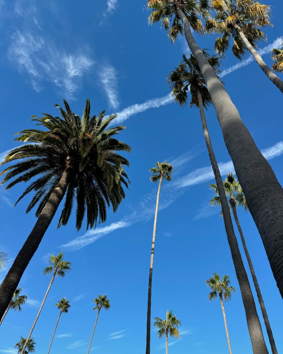 Boobop102mm's tweet image. Coffee tastes better when the LA sky is painted pink 🌴✨
#MorningInLA #CityOfDreams #SunriseVibes