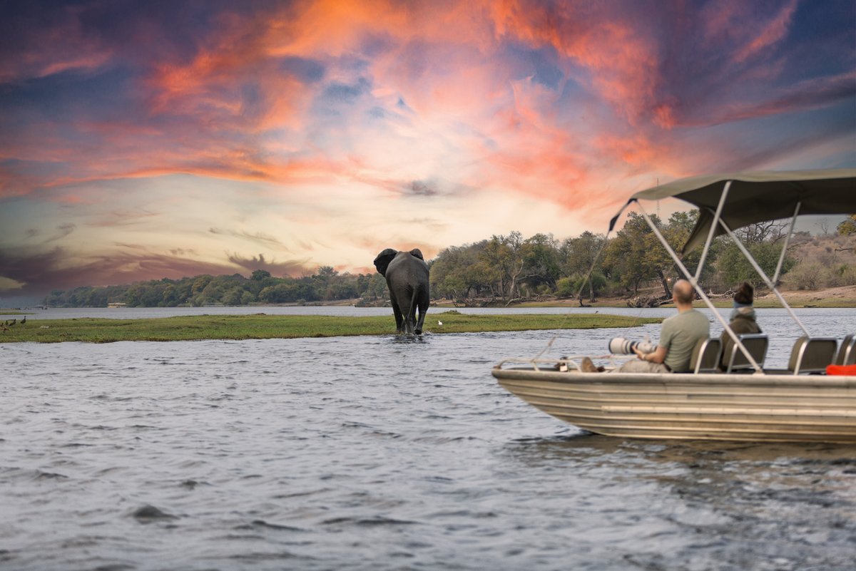 africanbudget's tweet photo. Botswana safari on YOUR terms! 🇧🇼
🐘 Design a private safari that’s 100% you...
Your adventure, your rules 🌟

📖 Check out this full guide we wrote to planning your tailor-made and unforgettable Botswana safari 
👉https://t.co/DR51dTVJyL https://t.co/y1dKu3Ck2W
