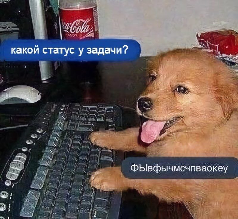 knoocky's tweet photo. https://t.co/Gno9KriK3Z