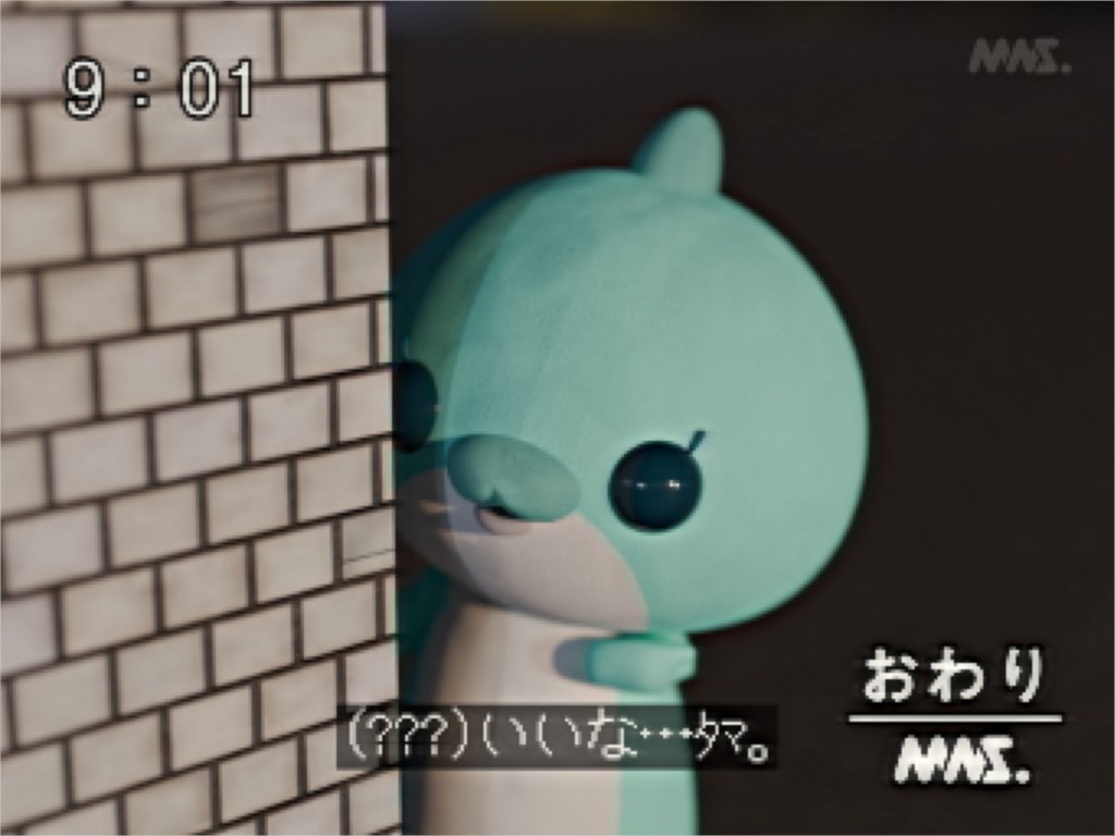 教育番組 タマ 特典付き 教育番組のタマ🔪🩷 Yamikawaii