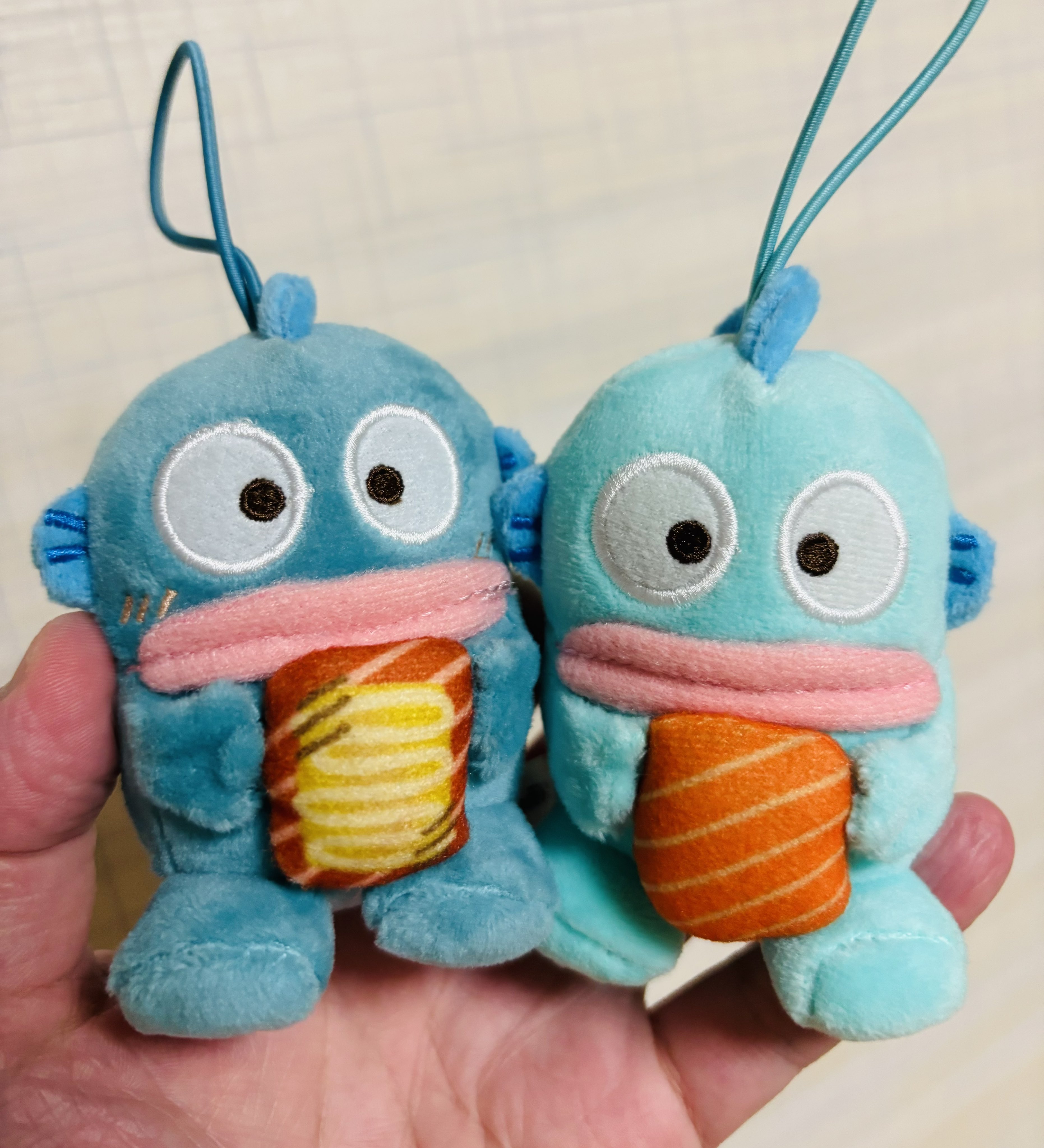 はんぎょどどどん (@hangyosayuri) / X