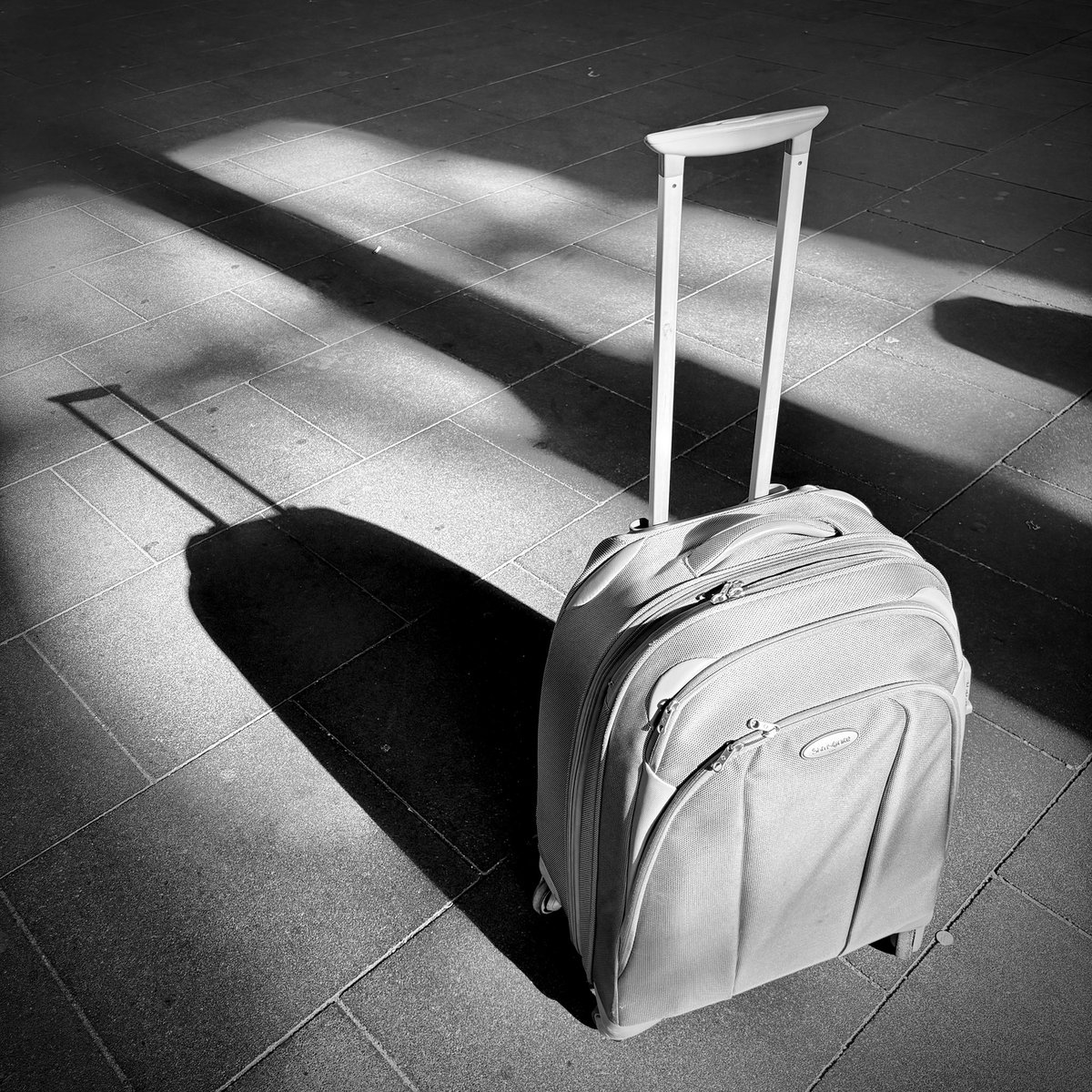 On my way to Gamescom with Aileronia in my suitcase. ✈️🎮 #Aileronia #Gamescom2025