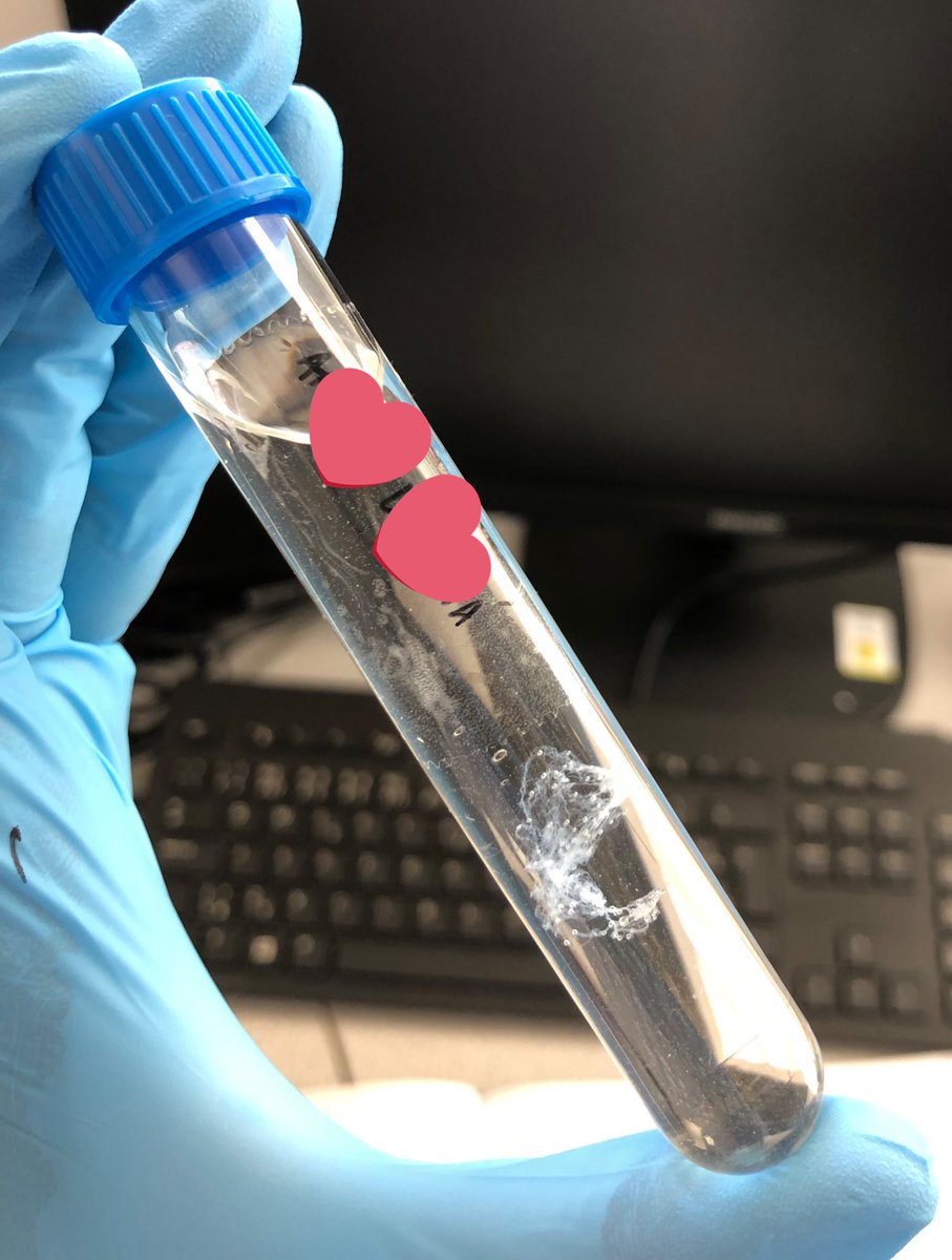 snopel DNA z moji krve neni to crazy ta biologie🥵🥵