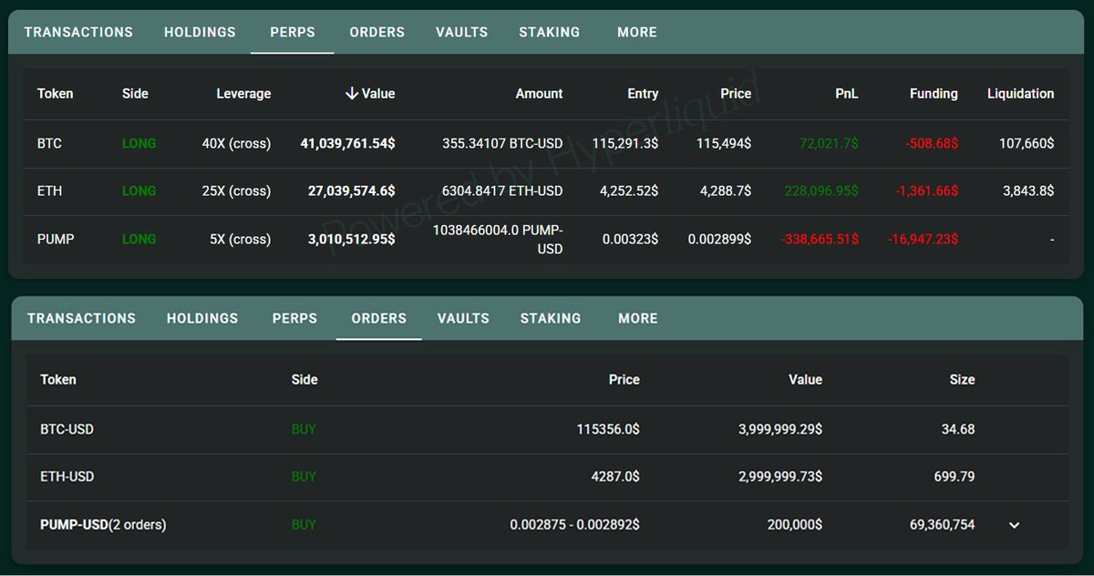 Screenshot of whale's open positions and orders on Hyperliquid