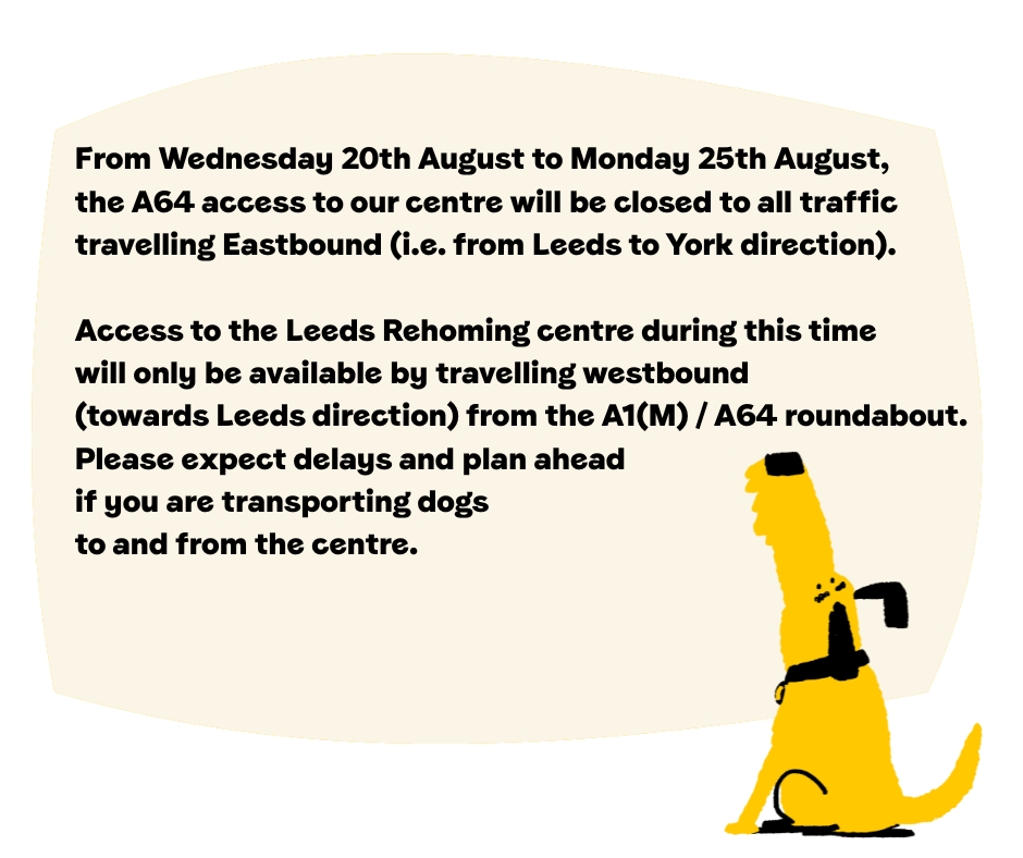 DT_Leeds's tweet photo. ‼ IMPORTANT TRAFFIC INFORMATION ‼
LEEDS FESTVAL: ROAD CLOSURE.
#LeedsFestival #Leeds #LeedsTraffic #LeedsFest #YorkshireTraffic #A64 https://t.co/nb6aE8T965