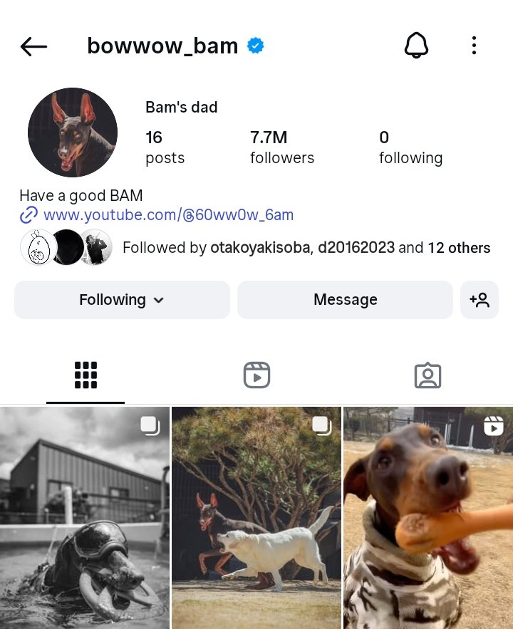 gomooshin⁷ ECHO (@taesoothe) on Twitter photo The most followed dog on Instagram is Bam of BTS' Jungkook with 7.7M followers. Bam surpassed this one and took over #1 whole 1.5 years ago
<a href="/voguemagazine/">Vogue Magazine</a> you need to stop writing sponsored lying pieces because this is just unprofessional and embarassing The most followed dog on Instagram is Bam of BTS' Jungkook with 7.7M followers. Bam surpassed this one and took over #1 whole 1.5 years ago
<a href="/voguemagazine/">Vogue Magazine</a> you need to stop writing sponsored lying pieces because this is just unprofessional and embarassing