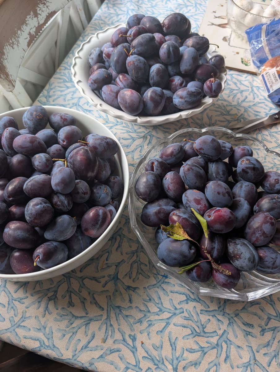 GM all time to make some plum jam 😜