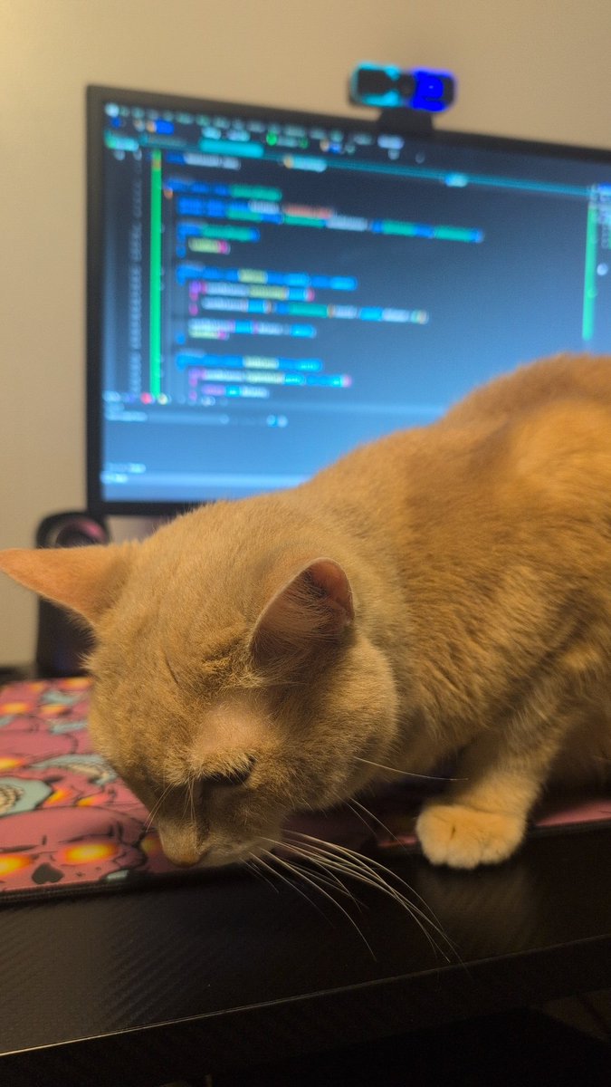 AttackTheSyntax's tweet image. Day 2 #100DaysOfCode  my cat will be joining us today