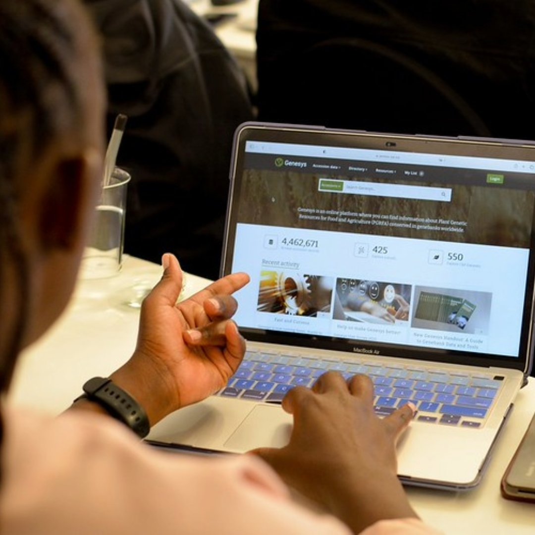 The Crop Trust (@croptrust) on Twitter photo Big things have happened at <a href="/GenesysPGR/">Genesys PGR</a> in 2025 so far:
🌱 More data
🛠️ Smarter tools
🌍 Wider reach
See how we’re evolving to support global genebanks and researchers: tinyurl.com/ya9ebxwe Big things have happened at <a href="/GenesysPGR/">Genesys PGR</a> in 2025 so far:
🌱 More data
🛠️ Smarter tools
🌍 Wider reach
See how we’re evolving to support global genebanks and researchers: tinyurl.com/ya9ebxwe