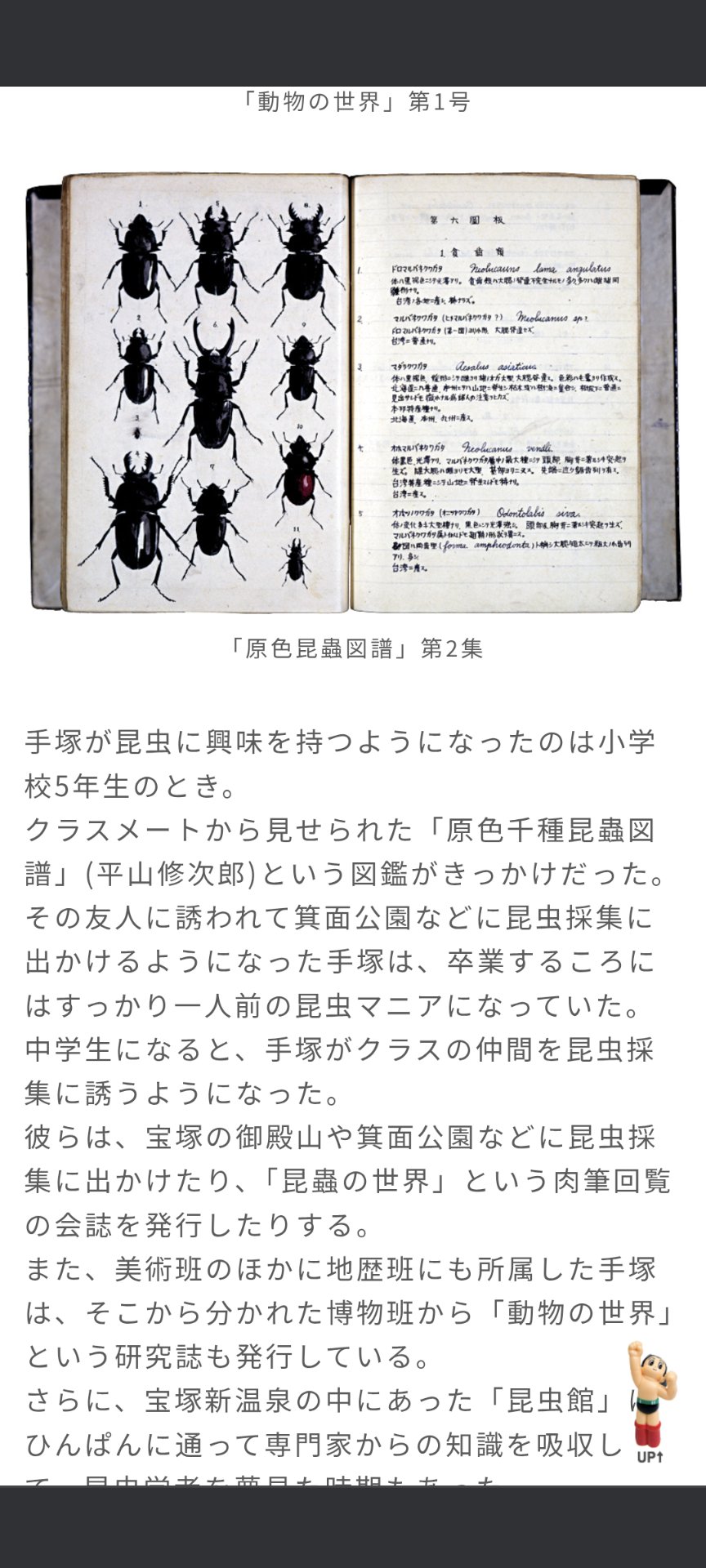 敦賀の人 on X: 