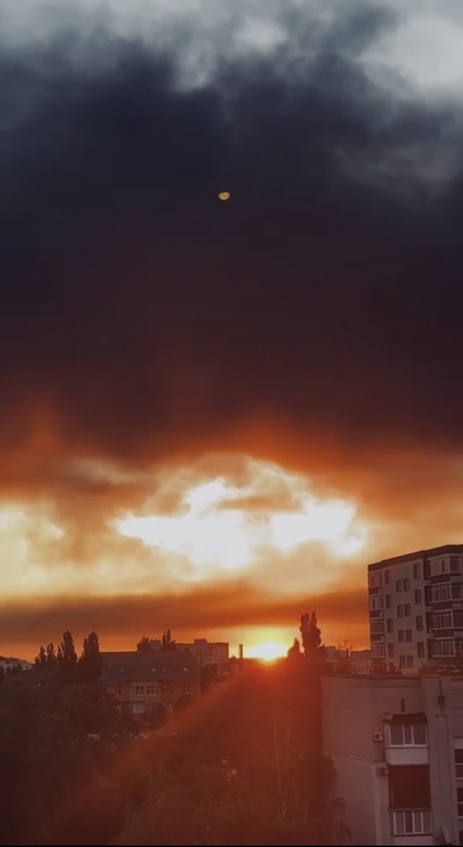 Кішка Шредінгера tweet media