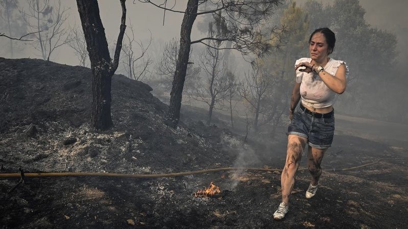 Guillermo Rocafort tweet media