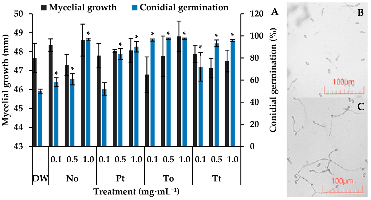 BioTech_MDPI's tweet image. 📚 Read our #published Article &quot;#Chemical Profiling and #Bioactivity of #Microalgae #Extracts for Enhancing Growth and #Anthracnose Resistance in the Common #Bean (#Phaseolus vulgaris L.)&quot; by Alessandro A. dos Santos, et al.

🔺 Access the full text at: mdpi.com/2673-6284/14/1…