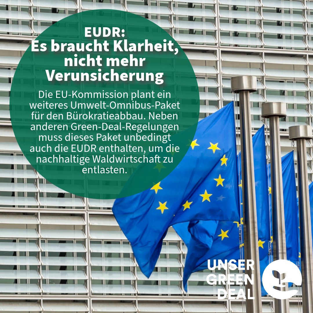 Die EUDR steht erneut auf dem Prüfstand: Die EU-Kommission plant ein neues Umwelt-Omnibus-Paket zur Vereinfachung. ✂️🌍 Doch Klarheit fehlt. Der Start Ende 2025? Ungewiss. Unsere Forderung: Mehr Praxis, weniger Papier!