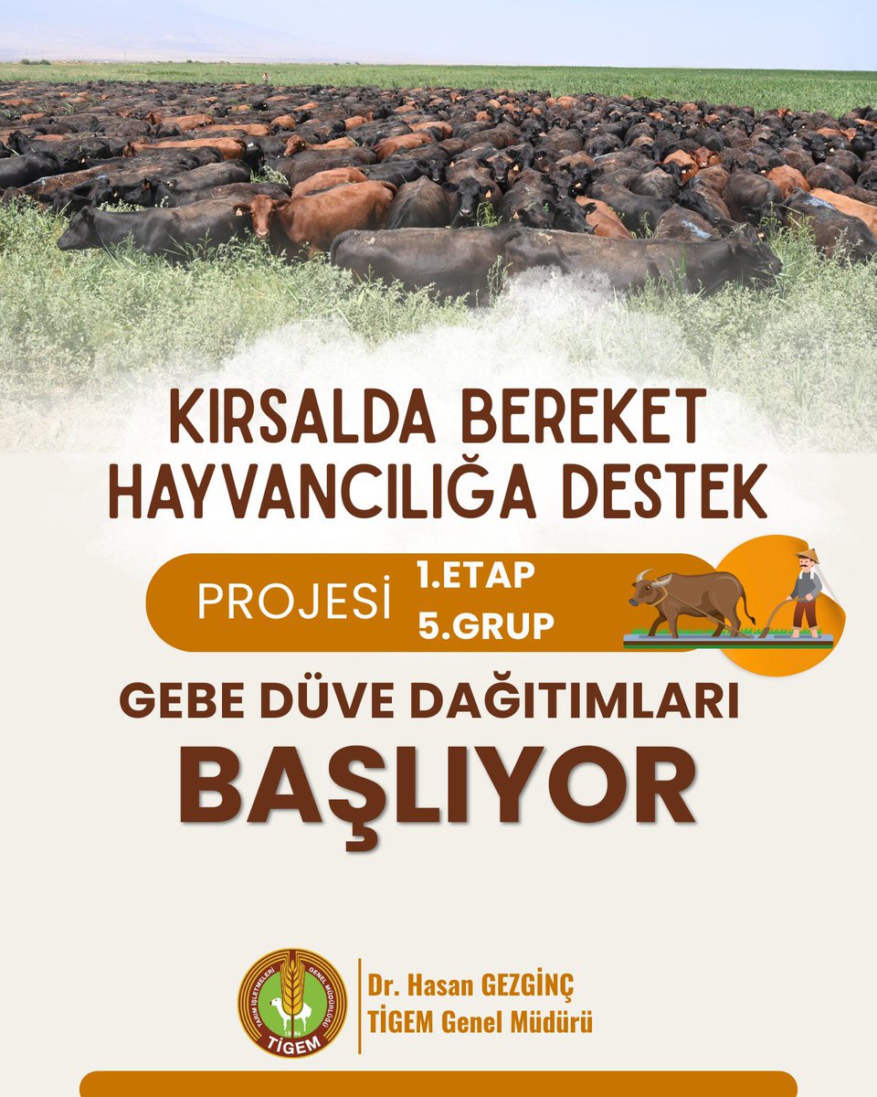 Dr.Hasan Gezginç (@hasangezginc) on Twitter photo Bakanlığımız <a href="/TCTarim/">T.C. Tarım ve Orman Bakanlığı</a> himayesinde yürütülen Kırsalda Bereket Hayvancılığa Destek Projesi'nde, hak sahibi olan yetiştiricilere 1. etap 5. grup etçi ırk damızlık gebe düve dağıtımlarımız başlıyor.
Amacımız net➡️ Hayvancılık sektörüne destek & Aile işletmelerinin güçlenmesine katkı. Bakanlığımız <a href="/TCTarim/">T.C. Tarım ve Orman Bakanlığı</a> himayesinde yürütülen Kırsalda Bereket Hayvancılığa Destek Projesi'nde, hak sahibi olan yetiştiricilere 1. etap 5. grup etçi ırk damızlık gebe düve dağıtımlarımız başlıyor.
Amacımız net➡️ Hayvancılık sektörüne destek & Aile işletmelerinin güçlenmesine katkı.