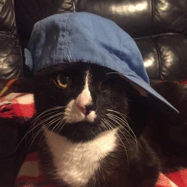 6ftsan's tweet image. 