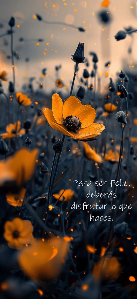 aprendo52's tweet photo. 💊👉❤️🤗 Se conciente que los buenos hábitos te harán tener una vida de bienestar y saludable, al fortalecer tu cuerpo, mente y alma, contribuyendo a la reducción del riesgo de contraer enfermedades. #digital #CuidaTuVida #life #mindset #PersonalGrowth #crecimientopersonal https://t.co/qQY1JKmHmt