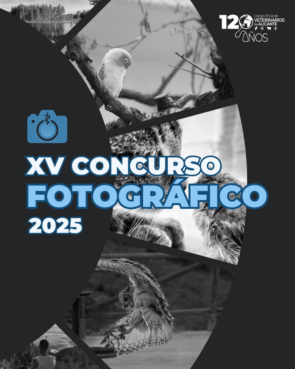 Ya está aquí el XV Concurso Fotográfico. Si eres colegiado/a, esta es tu oportunidad para mostrar tu creatividad y talento fotográfico.

Accede a través de la página web icoval.org, dentro del apartado “colegiados” → “Concursos” → “Concurso fotográfico”.