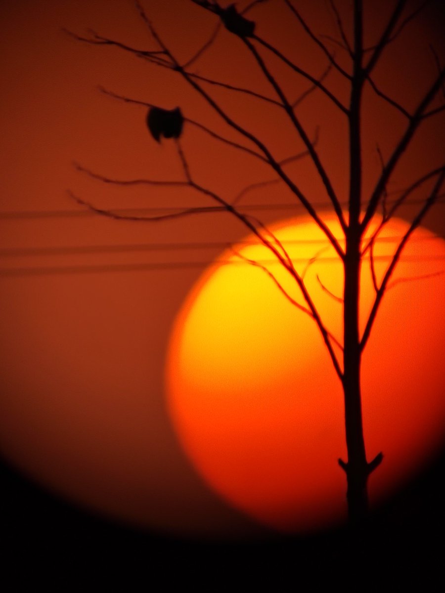 Vivek_Mehta11's tweet photo. Celebrating World Photography Day at @RSCBhavnagar This amazing centre offers a unique blend of science and nature, making it a photographer's paradise. Capture the beauty today! #ScienceMeetsNature https://t.co/QJY10xK5uO