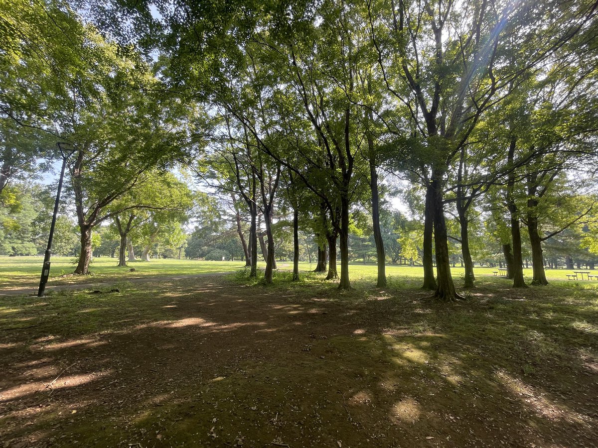 Soccer310ma's tweet photo. 野川公園！めーっちゃ自然多いのに全然人がいなくてまじで好き #野川公園  #自然界隈 https://t.co/PyMGxI4bdA