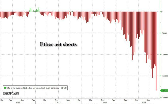 MaunPutih's tweet photo. 📉 ETH shorts at max pain on CME → whales prepping for chaos! 🚀 Shorts might get squeezed hard if ETH breaks $4,500.
Season’s just heating up, buckle up! ddasw #vibe #cryptal #cryptalai #cryptalinsights @Cryptal_ai https://t.co/ILbbuG41PW