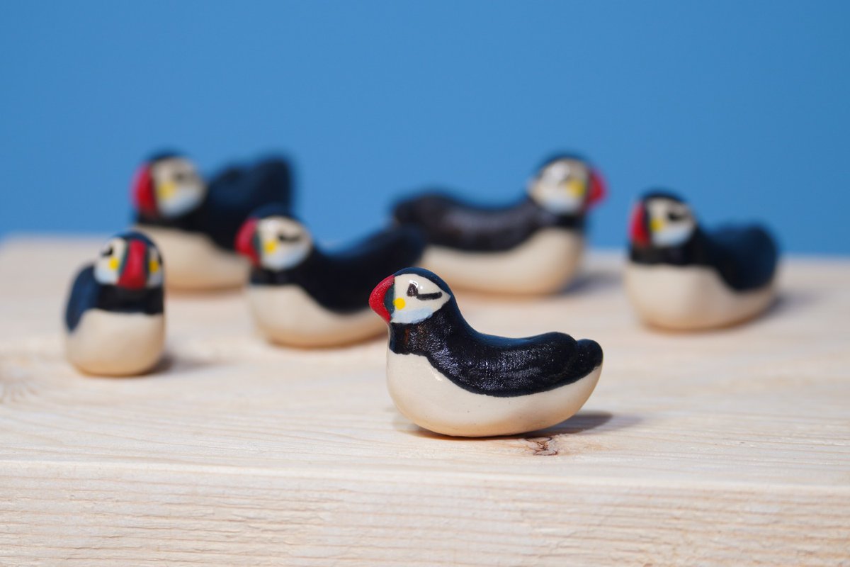 I originally decided to make one of my little seabirds because I wanted one for myself, but I quickly fell in love with making them. Because each one is hand sculpted and painted, every piece is unique in its own little way, yet together they make lovely flocks.