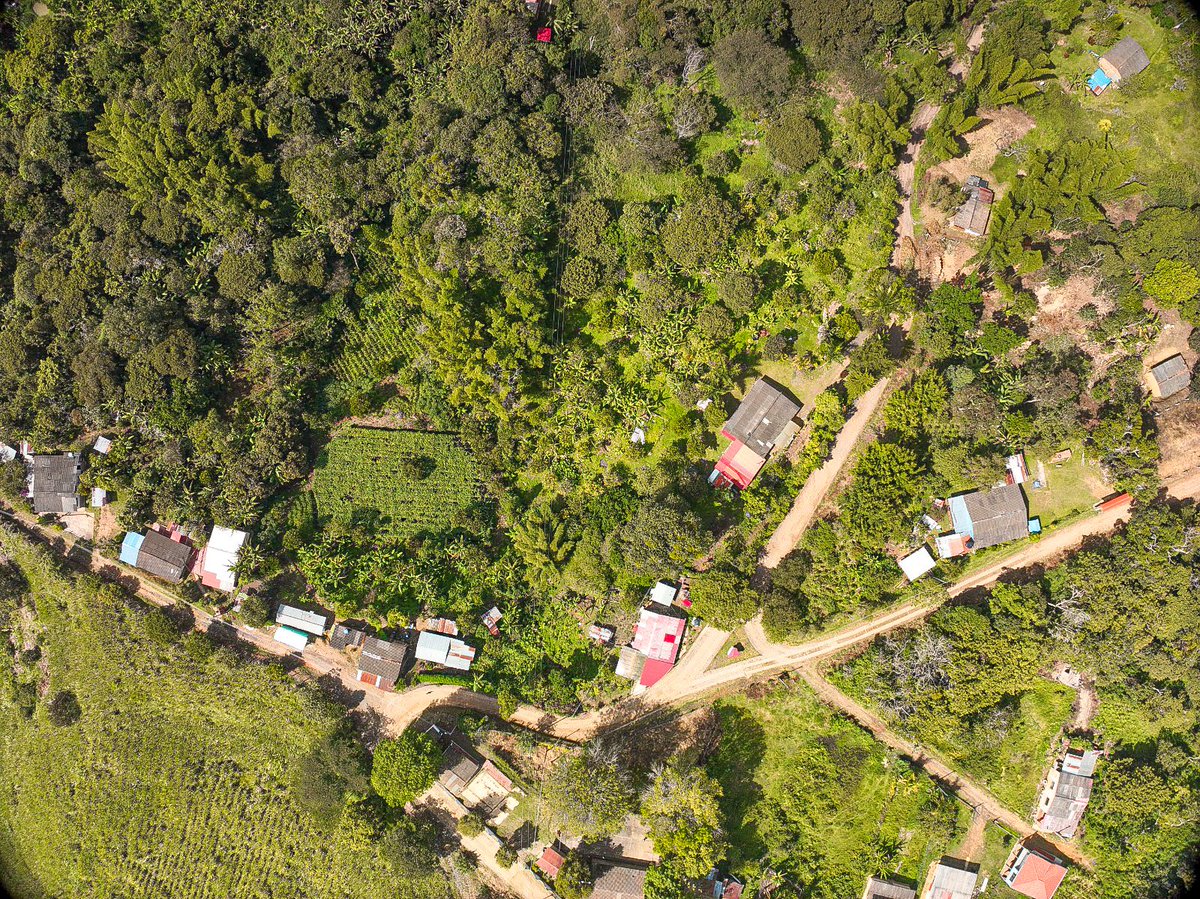Agencia Nacional de Tierras tweet media