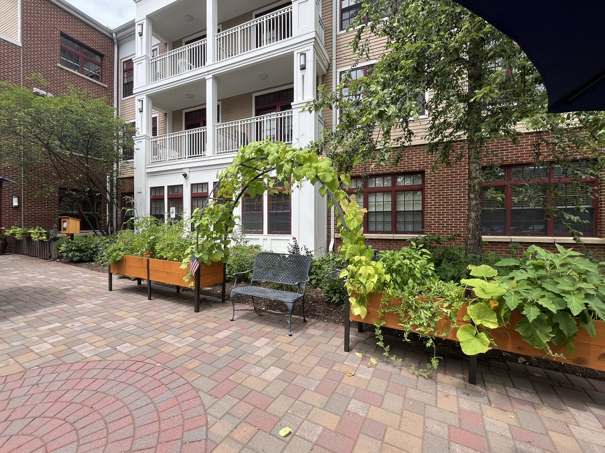 Here are some more lovely photos of our Stonegate garden!

Is there anything that grew especially well in your garden this year?