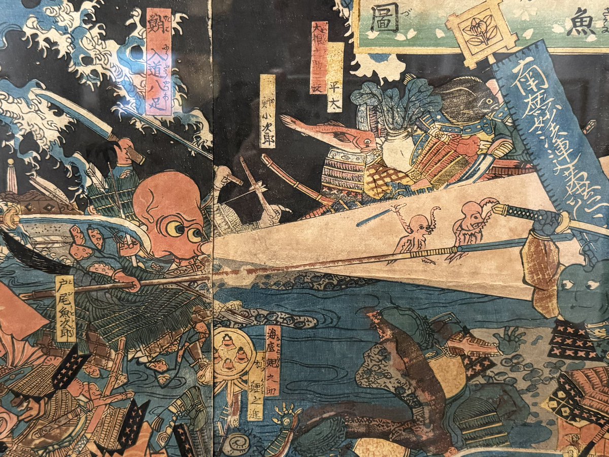 たなっちょ / Hayate TANAKA tweet media