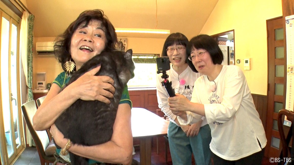 ⭕️新品未開封 ダヤンのふしぎなぼうけん〈初回生産限定・5枚組〉 楽天市場】エヌビー社 NB 水引金封 御佛前 黒 1219315熨斗