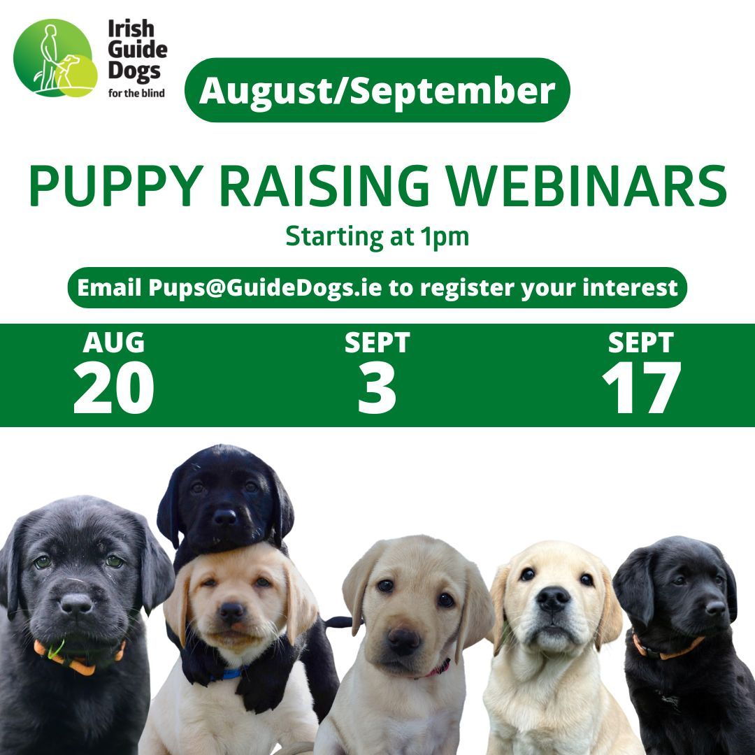 Irish Guide Dogs for the Blind (@irishguidedogs) on Twitter photo Our FREE Puppy Raising Webinars are continuing tomorrow afternoon (Wednesday 20th August 2025) at 1pm!
If you’re interested in becoming a Puppy Raiser, then register to find out more. Please email Pups@GuideDogs.ie
#ChangingLives Our FREE Puppy Raising Webinars are continuing tomorrow afternoon (Wednesday 20th August 2025) at 1pm!
If you’re interested in becoming a Puppy Raiser, then register to find out more. Please email Pups@GuideDogs.ie
#ChangingLives