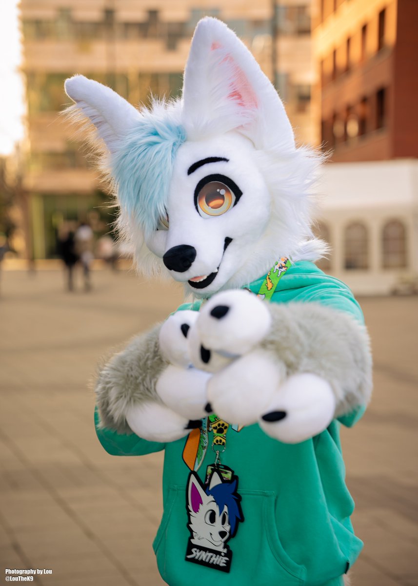 🦊 <a href="/iamnotasynthh/">Synthie→AWO, EF</a>