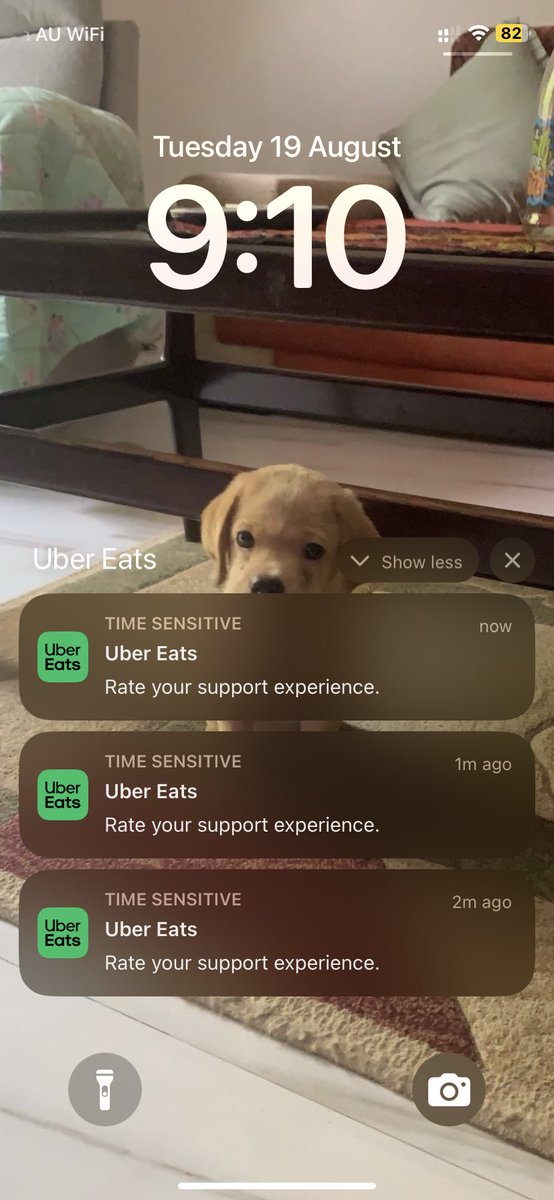 sarahhmohsin's tweet photo. @Uber_Support This is in response to an uber eats order in Australia in Melb! I ordered pizza. Never got it at my place. I called the driver, he was too rude on call. The picture he uploaded was not my house. I contacted uber support on app where rajshree gave following response. https://t.co/AhlMMr3GW6