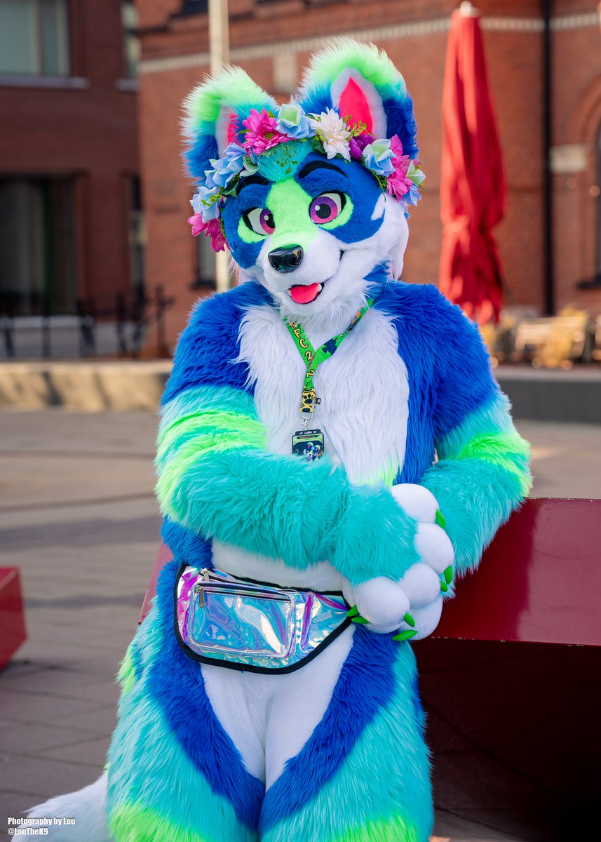 Picture for <a href="/PulsarFolf/">✧ ･ﾟPulsar * ･ﾟ</a>