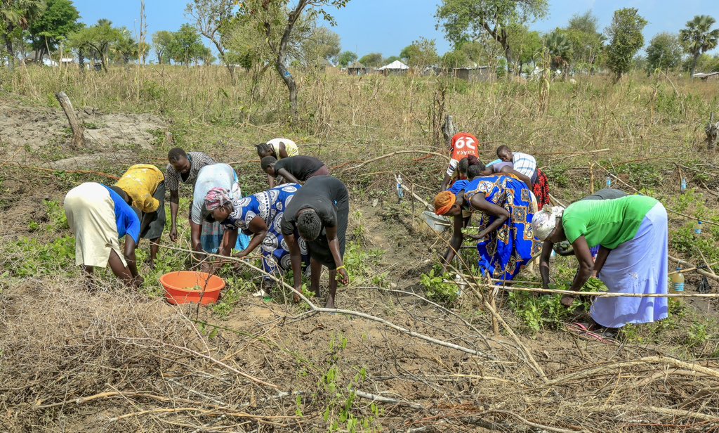 Denmark in Uganda tweet media