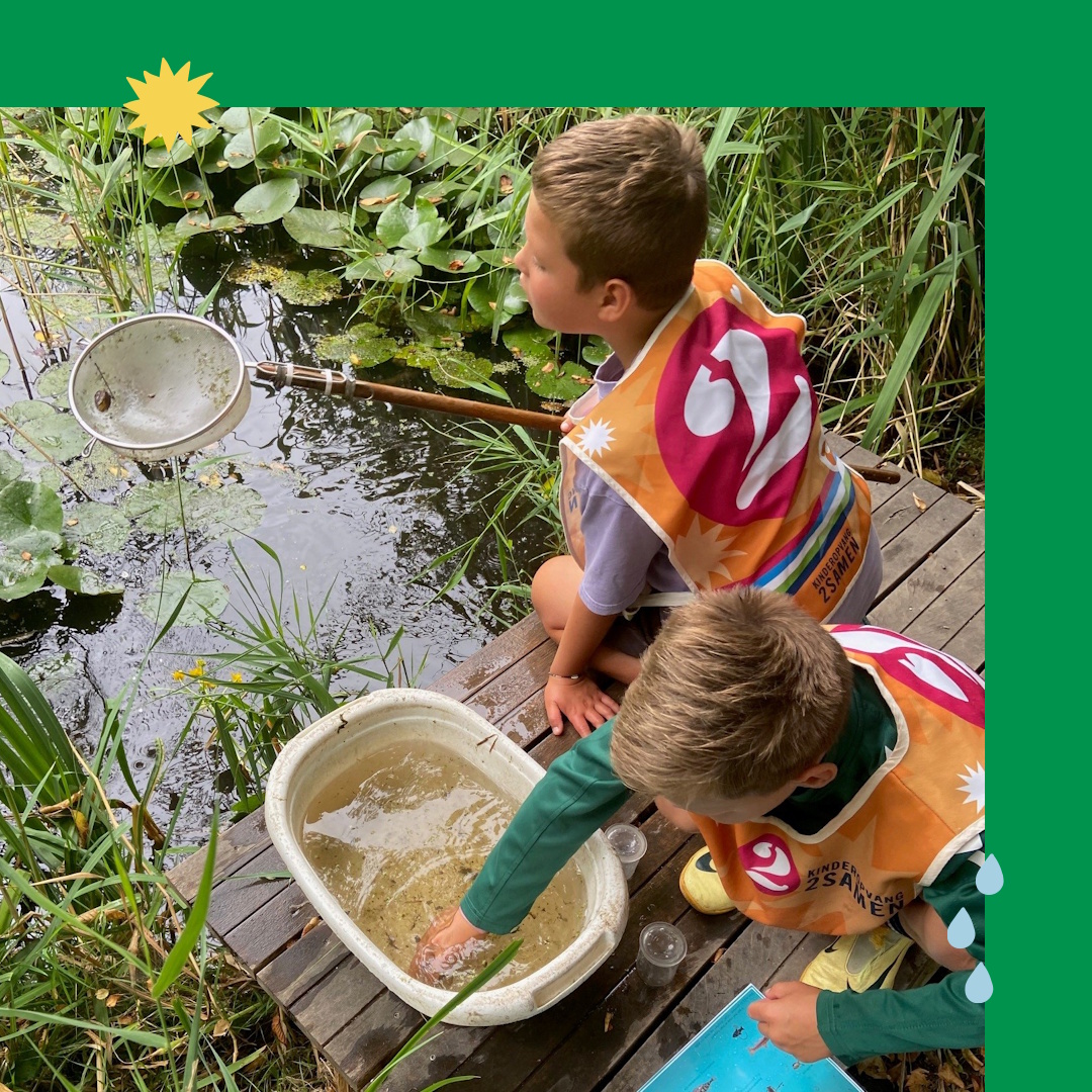 🐸Gisteren trokken de kinderen van BSO 2pinguïns samen met WNTweb het Prinsenbos in op zoek naar waterdiertjes. Met schepnetten en loeppotjes gingen ze op avontuur — en wat een bijzondere vangsten werden er gedaan!🐟 Ook werden opnames gemaakt voor een item over natuureducatie