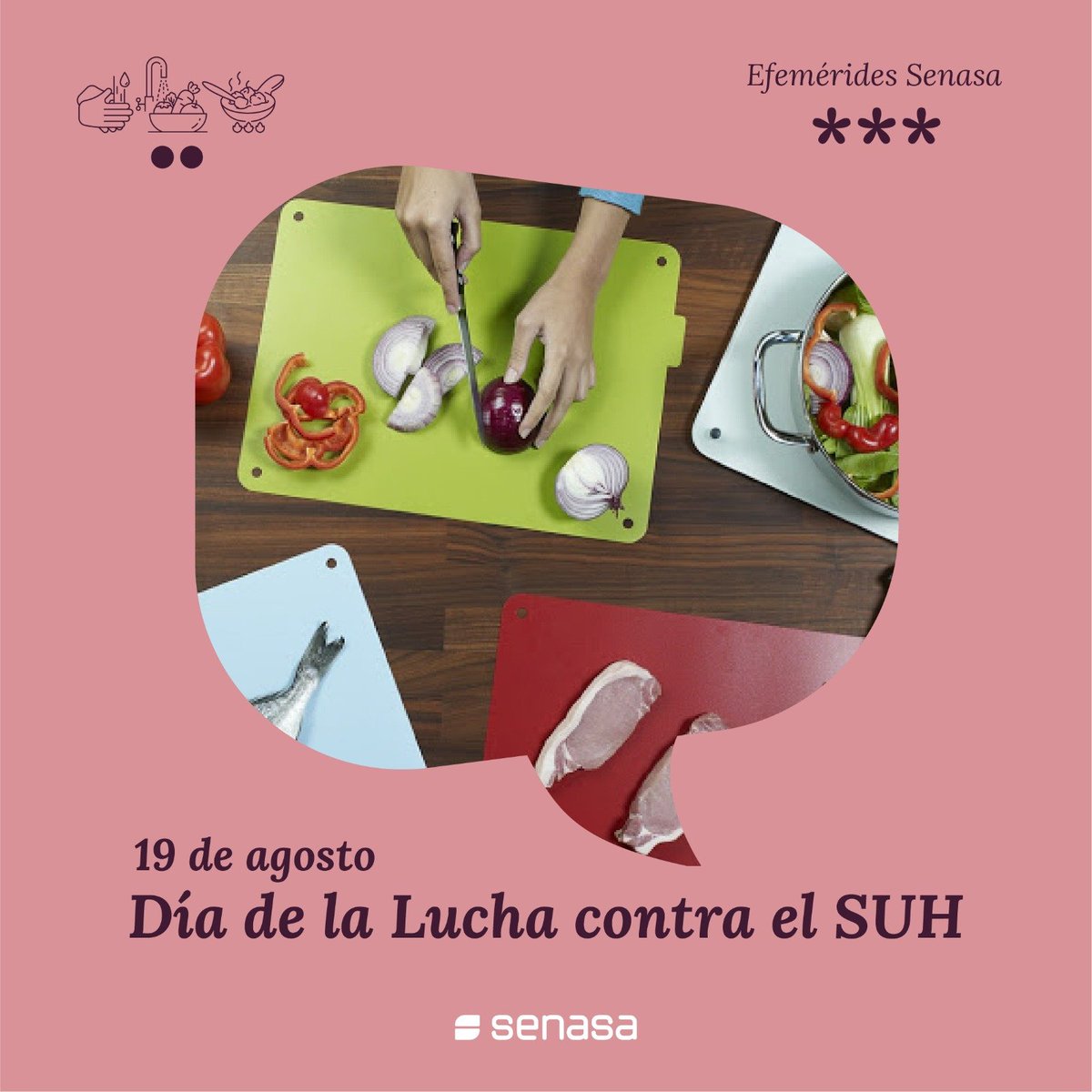 Hoy 19 de agosto es el Día Nacional de Lucha contra el Síndrome Urémico Hemolítico (SUH), establecido en la Ley 26.926 para generar conciencia sobre esta enfermedad y las formas de prevenirla.
El SUH es una enfermedad grave… ¡pero prevenible!